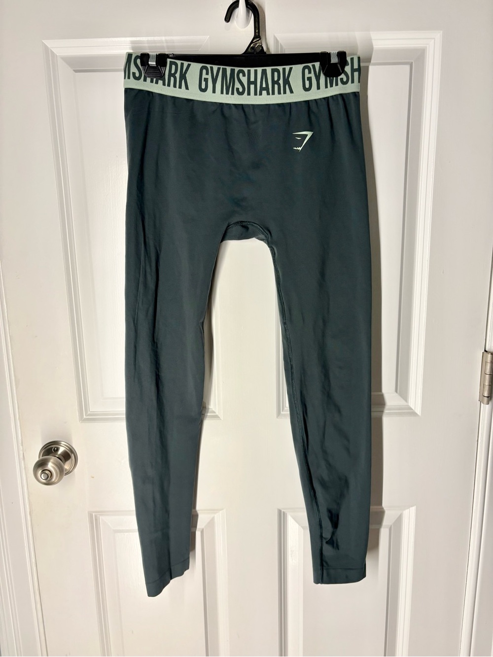 Athletic Gymshark Dark Green Compression Leggings with Mint Waistband